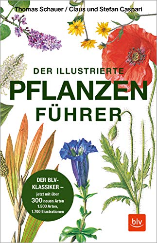 Der illustrierte Pflanzenführer: Der BLV-Klassiker – jetzt mit über 300 neuen Arten (BLV Naturführer) von Gräfe und Unzer