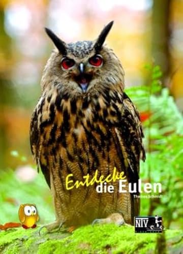 Entdecke die Eulen: Extra: Großes Eulenquiz (Entdecke - Die Reihe mit der Eule: Kindersachbuchreihe) von NTV Natur und Tier-Verlag
