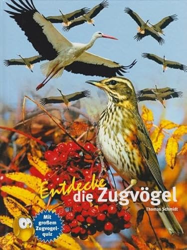 Entdecke die Zugvögel: Mit großem Zugvogelquiz (Entdecke - Die Reihe mit der Eule: Kindersachbuchreihe) von NTV Natur und Tier-Verlag
