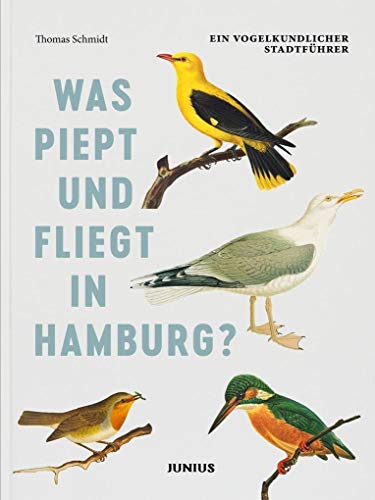 Was piept und fliegt in Hamburg?: Ein vogelkundlicher Stadtführer