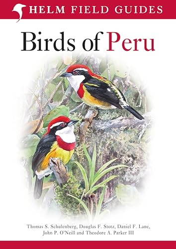 Field Guide to Birds of Peru (Helm Field Guides) von Helm