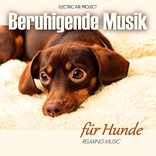 Beruhigende Musik für Hunde (Entspannung für Haustiere): Entspannung für Ihr Haustier