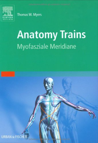 Anatomy Trains: Myofasziale Leitbahnen