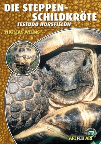 Die Steppenschildkröte: Testudo horsfieldii von NTV Natur und Tier-Verlag