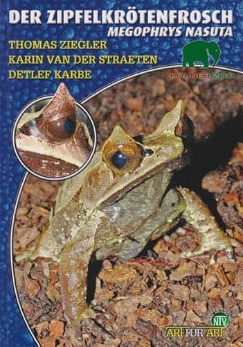 Der Zipfelkrötenfrosch: Megophrys nasuta