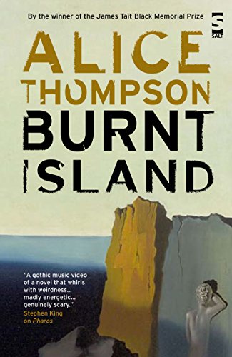Burnt Island (Salt Modern Fiction) von Salt Publishing