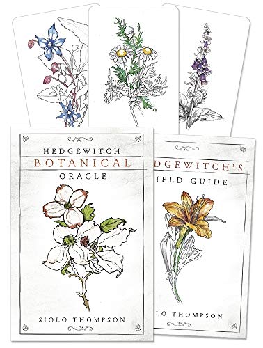 Hedgewitch Botanical Oracle von Llewellyn Publications