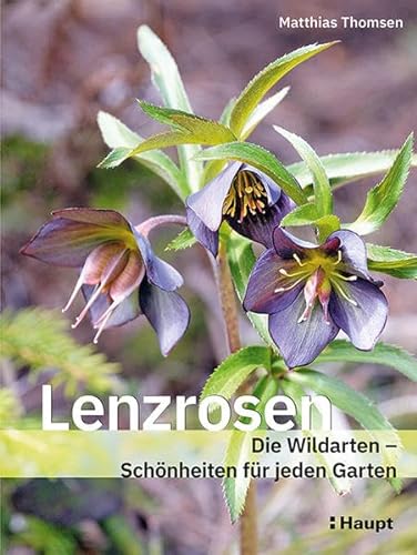 Lenzrosen: Die Wildarten - Schönheiten für jeden Garten von Haupt Verlag AG