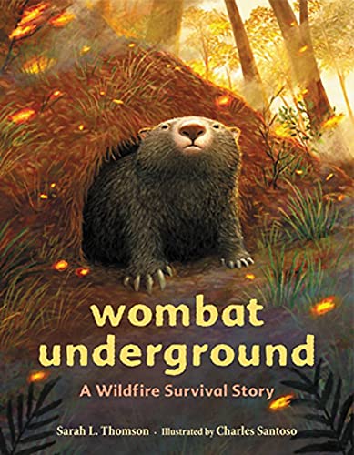 Wombat Underground: A Wildfire Survival Story von Little, Brown Books for Young Readers