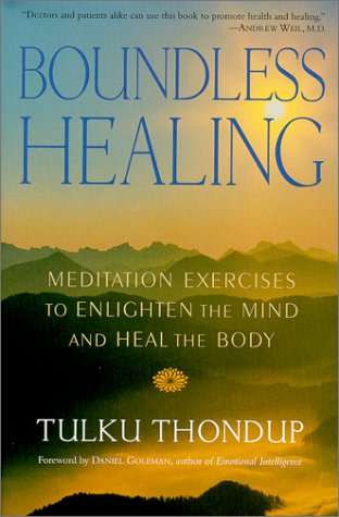 Boundless Healing: Meditation Exercises to Enlighten the Mind and Heal the Body (Buddhayana Foundation Series)