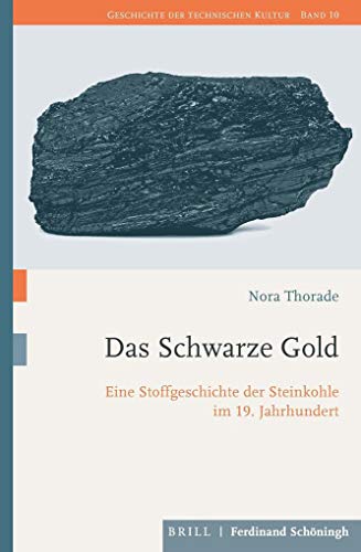 Das Schwarze Gold: Eine Stoffgeschichte der Steinkohle im 19. Jahrhundert (Geschichte der technischen Kultur)