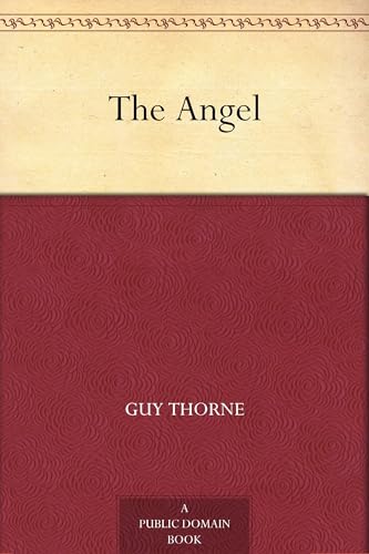 The Angel von Anson Street Press