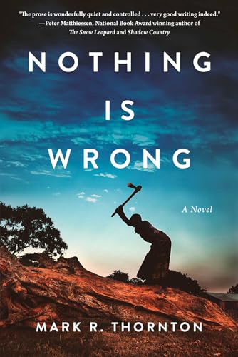 Nothing Is Wrong: A Novel von Arcade