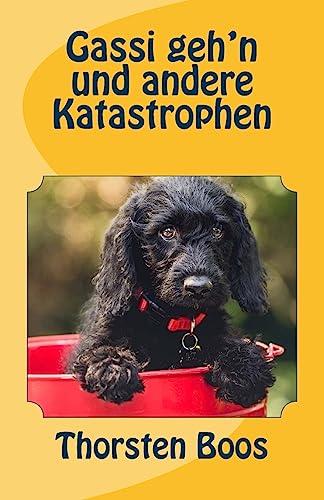 Gassi geh'n und andere Katastrophen von CREATESPACE