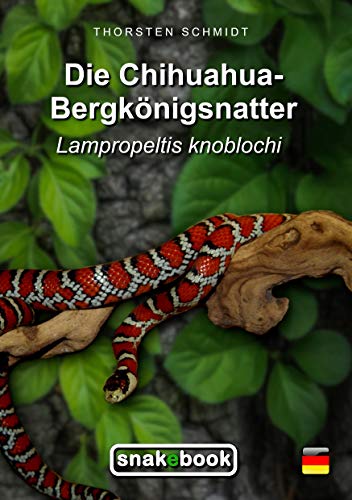 Die Chihuahua-Bergkönigsnatter: Lampropeltis knoblochi (SNAKEBOOK)