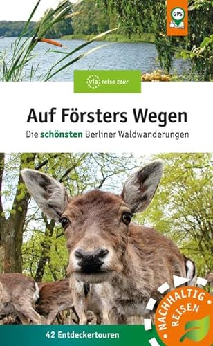 Auf Försters Wegen: Die schönsten Berliner Waldwanderungen