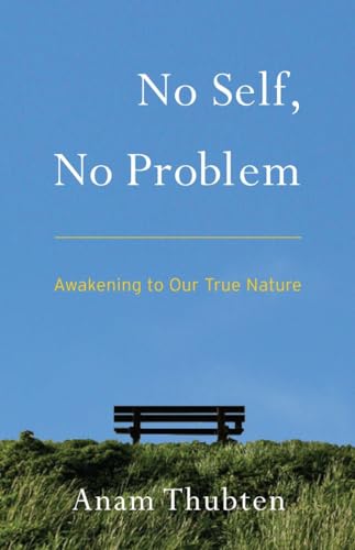 No Self, No Problem: Awakening to Our True Nature von Shambhala