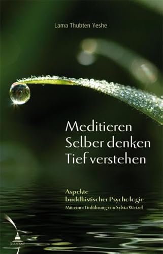 Meditieren. Selber denken. Tief verstehen: Aspekte buddhistischer Psychologie von Diamant