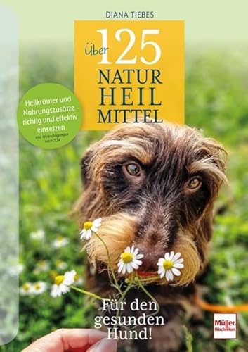 Über 125 Naturheilmittel für den gesunden Hund!: Heilkräuter und Nahrungszusätze richtig und effektiv einsetzen