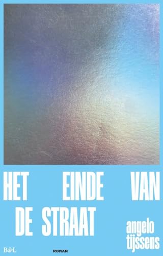 Het einde van de straat: roman von Borgerhoff & Lamberigts