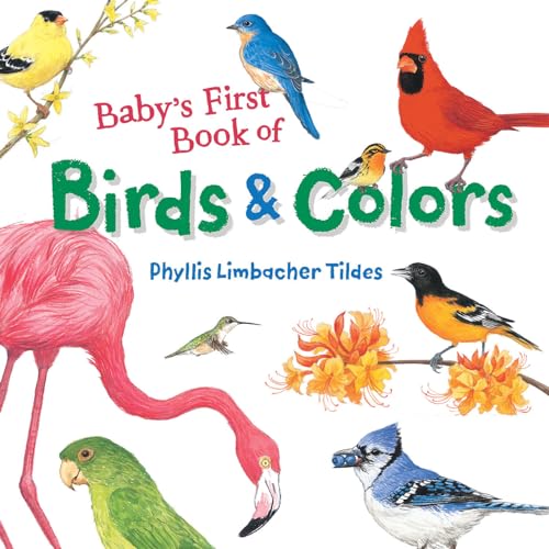 Baby's First Book of Birds & Colors