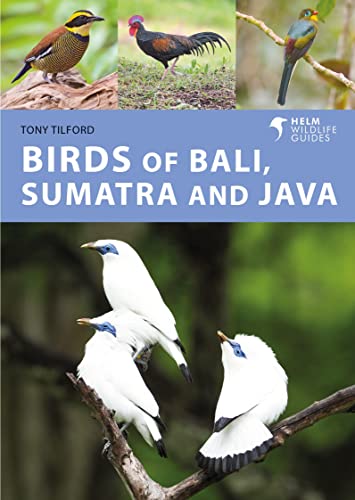 Birds of Bali, Sumatra and Java: A Photographic Guide (Helm Wildlife Guides) von Helm
