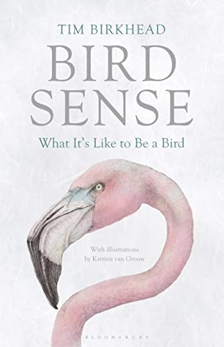 Bird Sense: What It's Like to Be a Bird von Bloomsbury Paperbacks