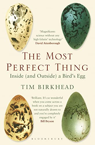 The Most Perfect Thing: Inside (and Outside) a Bird’s Egg von Bloomsbury Publishing PLC