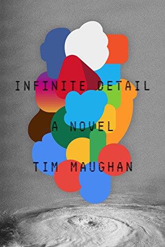 Infinite Detail: A Novel von MCD X Fsg Originals