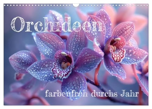 Orchideen - farbenfroh durchs Jahr (Wandkalender 2025 DIN A3 quer), CALVENDO Monatskalender von CALVENDO