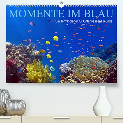 Momente im Blau - Ein Terminplaner für Unterwasser-Freunde (hochwertiger Premium Wandkalender 2024 DIN A2 quer), Kunstdruck in Hochglanz
