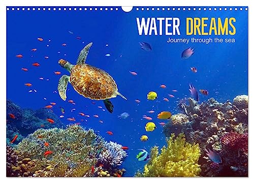 Water Dreams-journey through the sea (Wandkalender 2024 DIN A3 quer), CALVENDO Monatskalender von CALVENDO