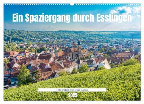 Ein Spaziergang durch Esslingen (Wandkalender 2025 DIN A2 quer), CALVENDO Monatskalender von CALVENDO