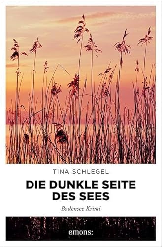 Die dunkle Seite des Sees: Bodensee Krimi (Ermittlerduo Sito und Enzig)