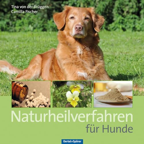 Naturheilverfahren für Hunde