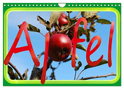 Apfel (Wandkalender 2025 DIN A4 quer), CALVENDO Monatskalender von CALVENDO