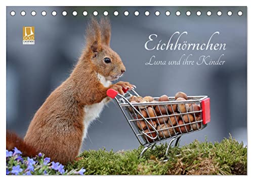 Eichhörnchen Luna und ihre Kinder (Tischkalender 2024 DIN A5 quer), CALVENDO Monatskalender von CALVENDO