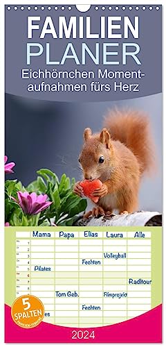 Familienplaner 2024 - Eichhörnchen Momentaufnahmen fürs Herz mit 5 Spalten (Wandkalender, 21 cm x 45 cm) CALVENDO
