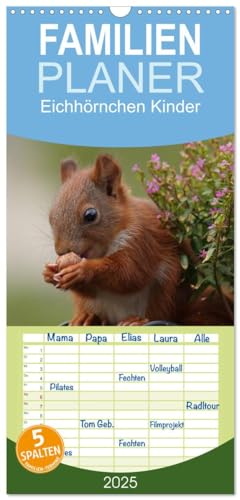 Familienplaner 2025 - Eichhörnchen Kinder mit 5 Spalten (Wandkalender, 21 cm x 45 cm), CALVENDO von CALVENDO