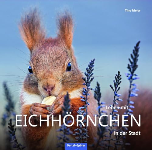 Leben mit Eichhörnchen in der Stadt von Oertel Und Spoerer GmbH