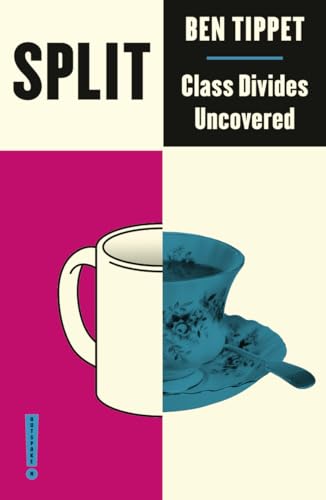 Split: Class Divides Uncovered (Outspoken by Pluto) von Pluto Press (UK)