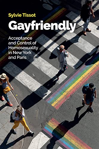 Gayfriendly: Acceptance and Control of Homosexuality in New York and Paris von Polity Press