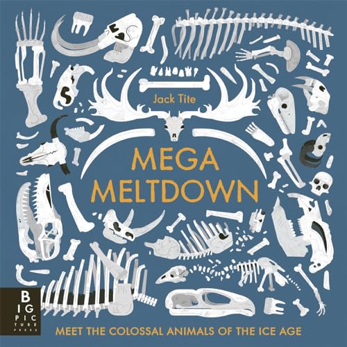 Mega Meltdown von Big Picture Press
