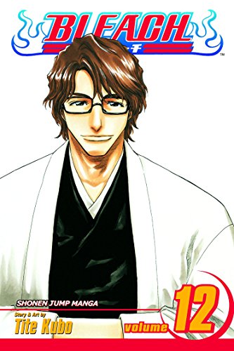 Bleach Volume 12: Flower on the Precipice (BLEACH GN, Band 12)