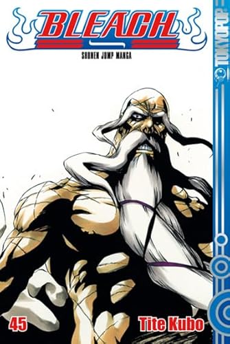 Bleach 45: Das flammende Inferno von TOKYOPOP GmbH