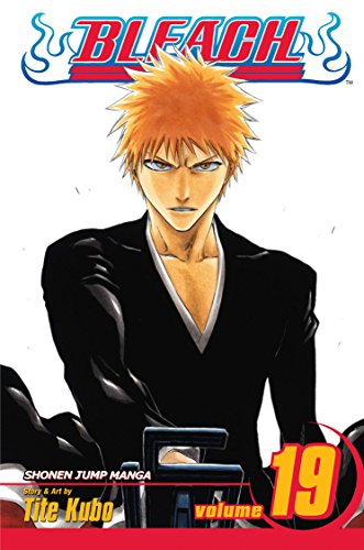 Bleach Volume 19: The Black Moon Rising (BLEACH GN, Band 19)