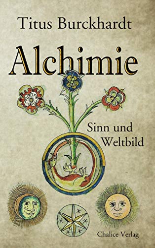Alchimie: Sinn und Weltblid: Sinn und Weltbild von Books on Demand