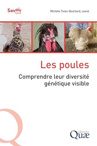 Les poules: Comprendre leur diversité génétique visible Les poules: Comprendre leur diversité génétique visible von QUAE