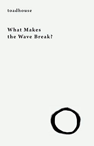 What Makes the Wave Break? von Snuggly Books