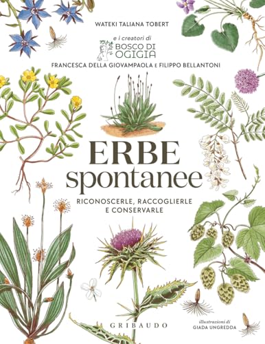 Erbe spontanee. Riconoscerle, raccoglierle e conservarle (Hobby) von Gribaudo